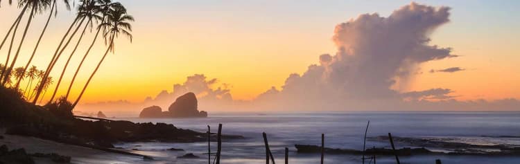 Family Highlights of Sri Lanka